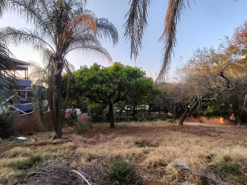 Introducing Your Blank Canvas in Kamdebo Road, Florauna - Photo 8