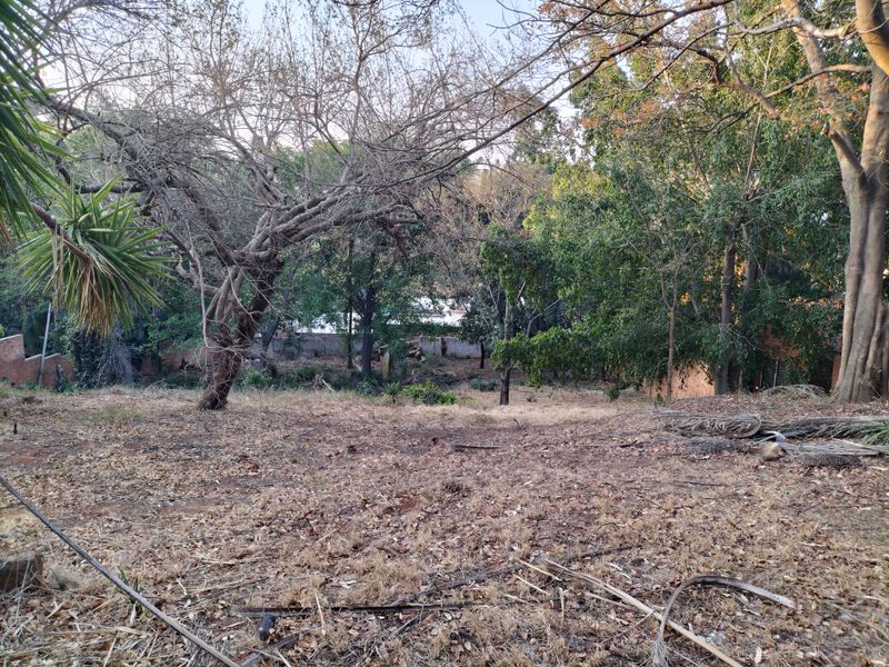 Introducing Your Blank Canvas in Kamdebo Road, Florauna - Photo 7