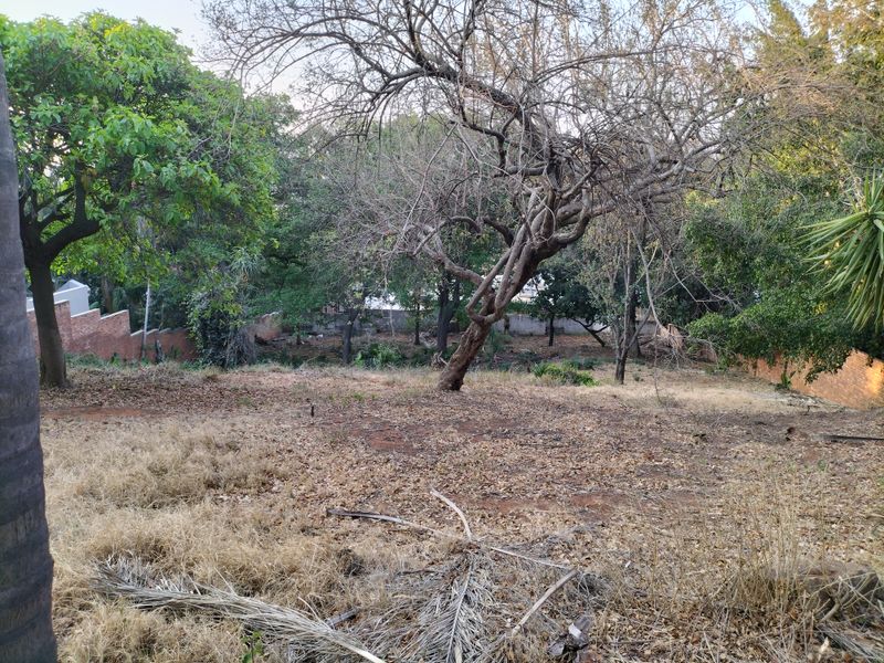 Introducing Your Blank Canvas in Kamdebo Road, Florauna - Photo 5