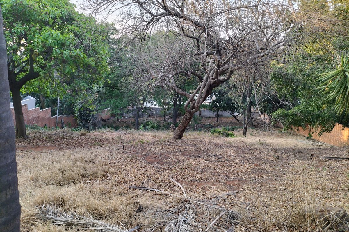 Introducing Your Blank Canvas in Kamdebo Road, Florauna - Photo 5