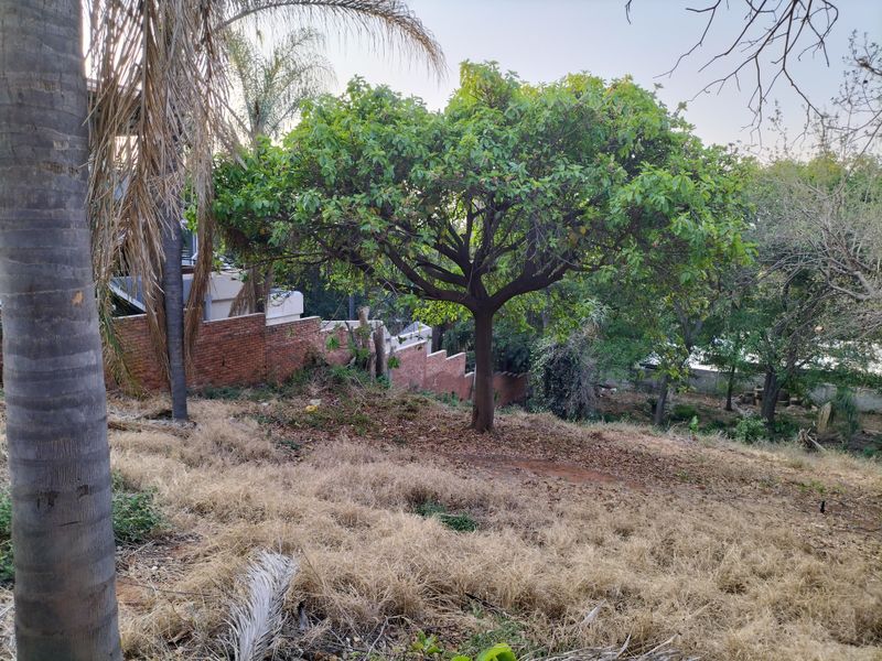 Introducing Your Blank Canvas in Kamdebo Road, Florauna - Photo 4