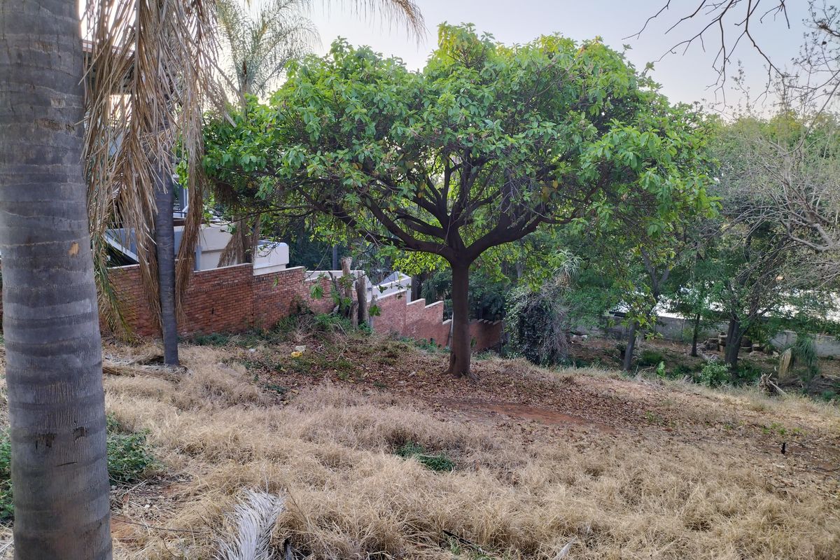 Introducing Your Blank Canvas in Kamdebo Road, Florauna - Photo 4