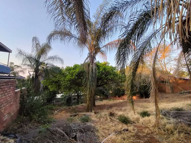 Introducing Your Blank Canvas in Kamdebo Road, Florauna - Photo 2