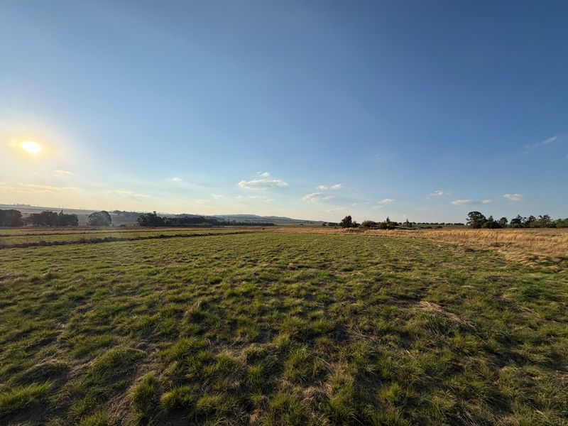 A wide-angle view of the expansive open pasture and natural landscape on the farm property under a clear sky.