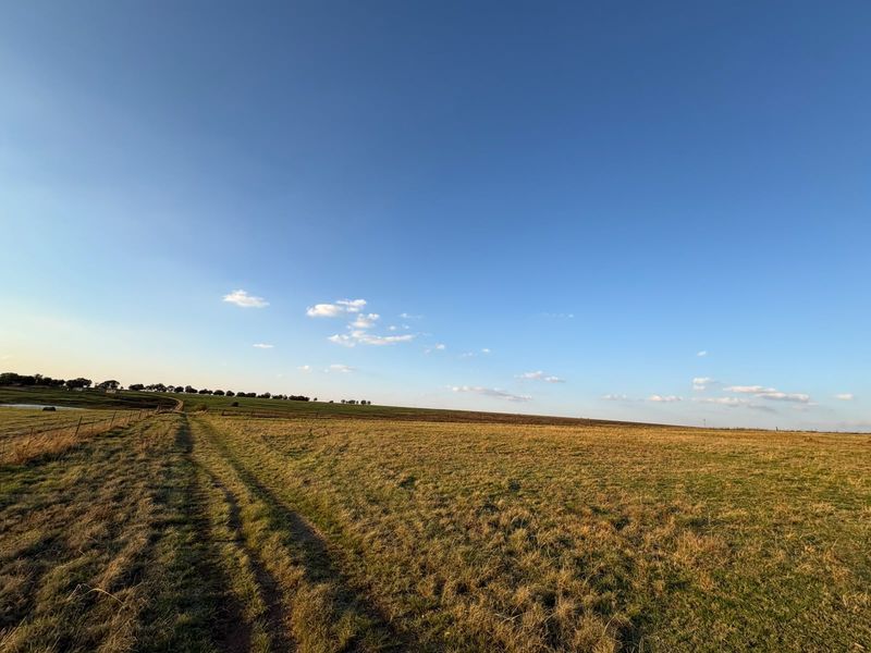 Expansive open farmland landscape featuring a dirt track and wire fencing under a clear blue sky.