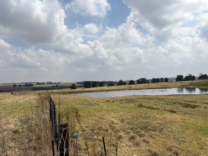 A scenic view of the farm landscape featuring open grazing fields, a natural dam, and perimeter wire fencing under a cloudy sky.