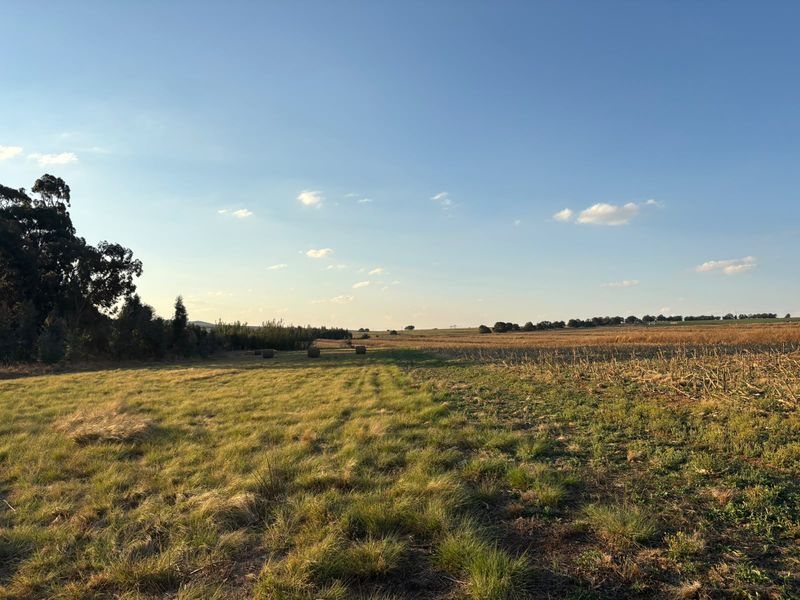 A scenic view of the expansive farm property featuring open grassy pastures, cultivated fields, and a mature tree line under a clear blue sky.