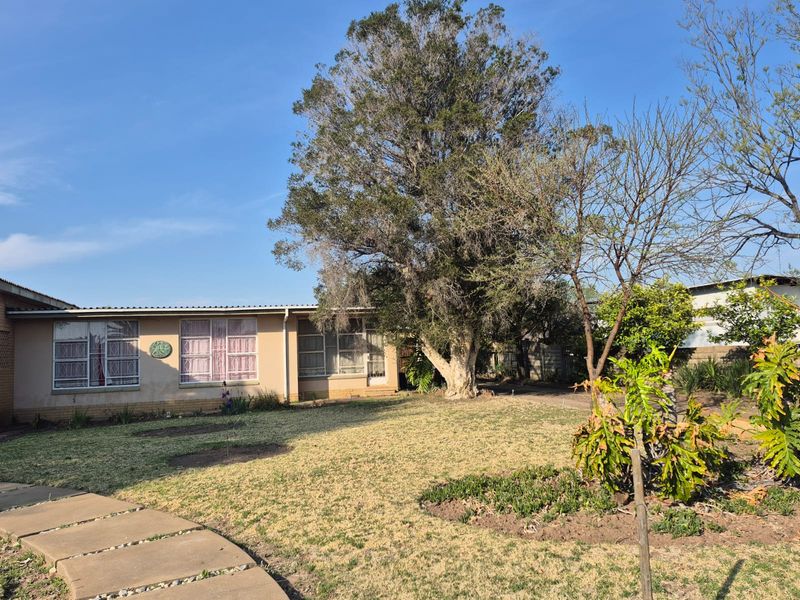A view of the rear exterior of the house featuring a large mature tree, a paved walkway, and a spacious garden area.