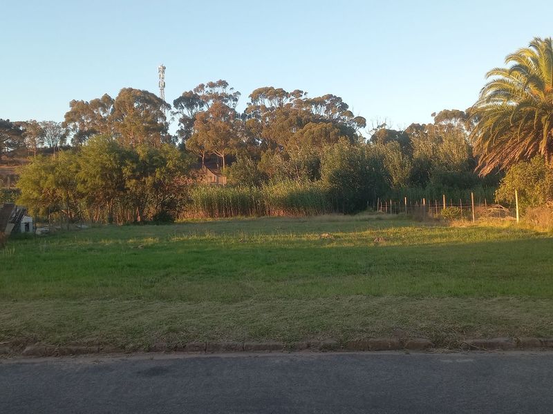 A vacant residential plot featuring a level grass lawn, established palm trees, and perimeter fencing, offering a clear space for future development.