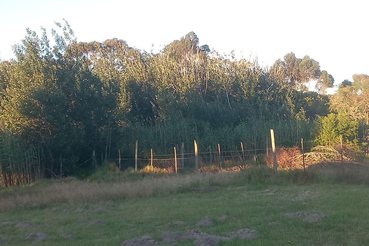 A view of a vacant residential plot featuring grassy terrain, mature trees, reeds, and existing wire fencing along the perimeter.
