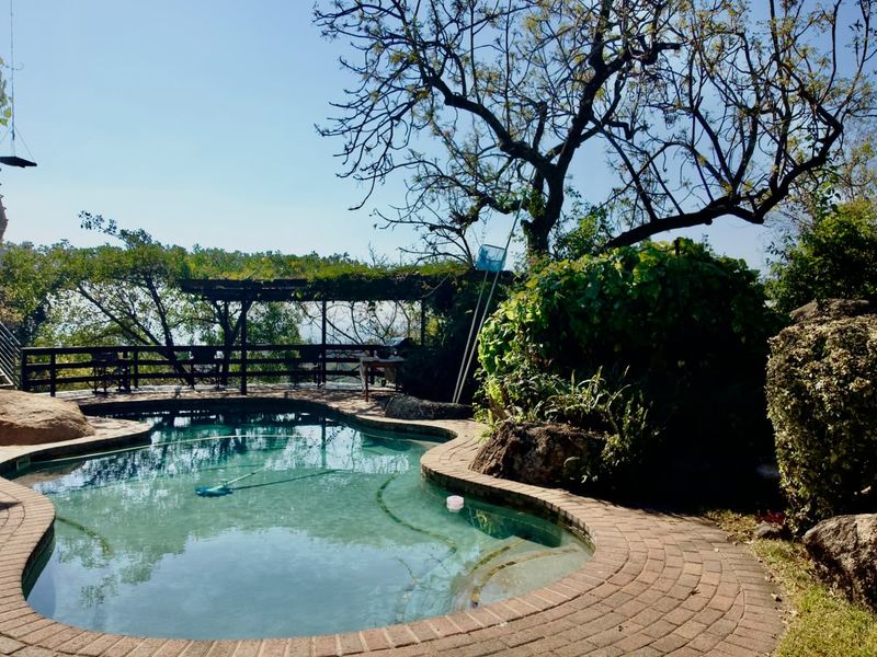 A landscaped outdoor pool area featuring a curved swimming pool, brick paving, and a wooden pergola set against a natural garden backdrop.
