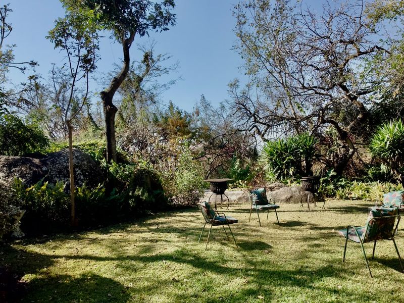 A spacious, established garden featuring mature trees, natural rock formations, and a well-maintained lawn area.