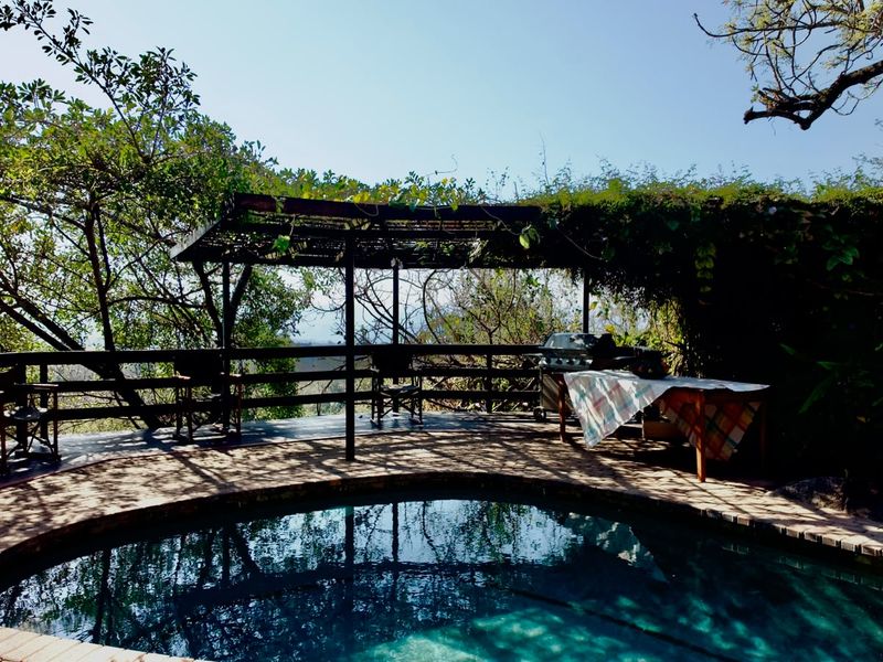 Outdoor pool area featuring a timber pergola, wooden decking, and a balustrade, set within a natural garden environment.