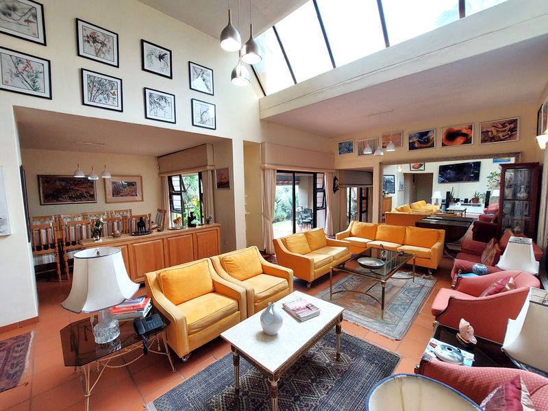 Spacious open-plan living and dining area featuring high vaulted ceilings with large skylights, terracotta flooring, and direct access to the outdoor patio.