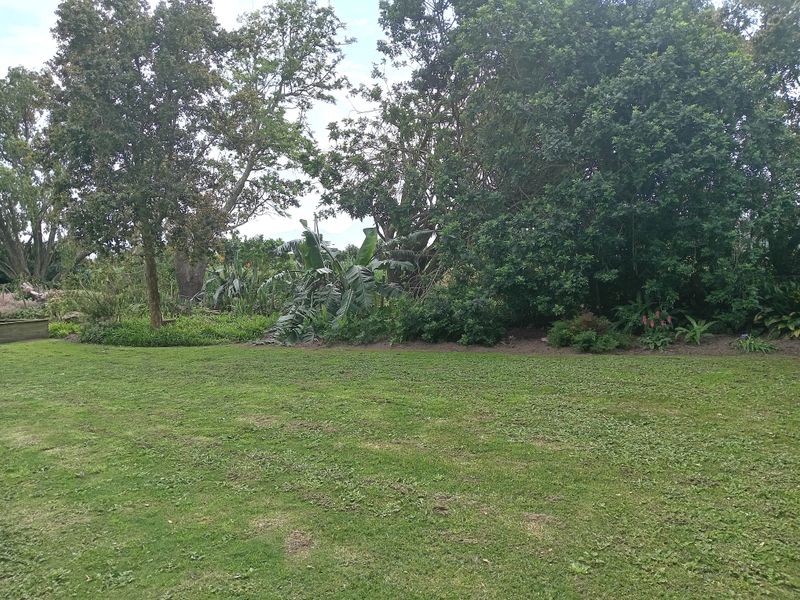 A spacious, well-established garden area featuring a large lawn, mature trees, and lush landscaped garden beds.