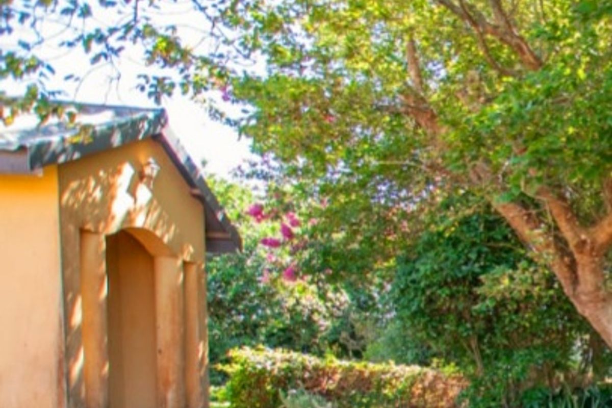 A lush garden setting featuring a paved pathway leading to a building entrance with concrete steps and mature trees providing shade.