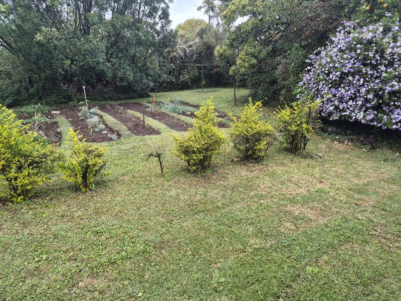 Large Hilton Home with Income & Development Potential - Photo 6