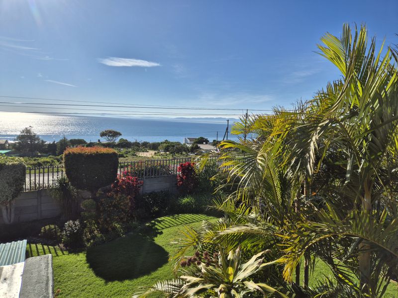 A scenic elevated view overlooking a lush garden with mature palm trees, featuring a clear horizon line over the ocean.
