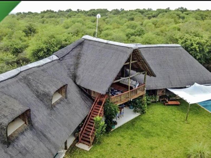Aerial view of a thatched-roof house featuring a wooden staircase, balcony, swimming pool, and surrounding lush greenery.