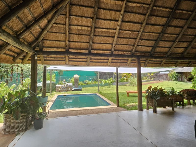Covered outdoor patio area featuring a traditional thatched roof, concrete flooring, and direct access to a private swimming pool and garden.