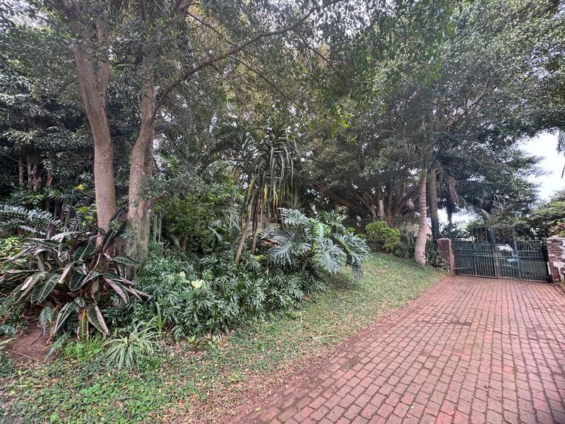 A view of the property entrance featuring a brick-paved driveway, mature garden landscaping, and a secure metal gate.