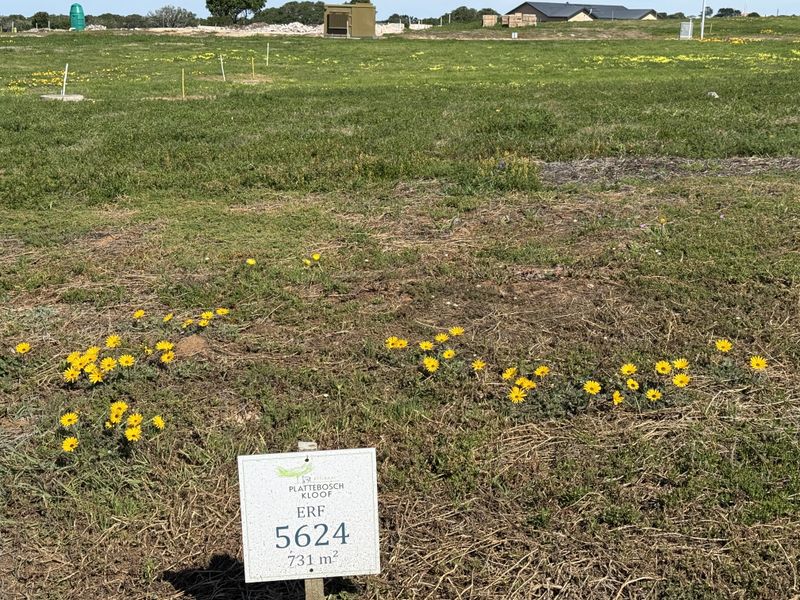 A vacant residential plot of land measuring 731 square meters, featuring natural grass coverage and visible survey markers.