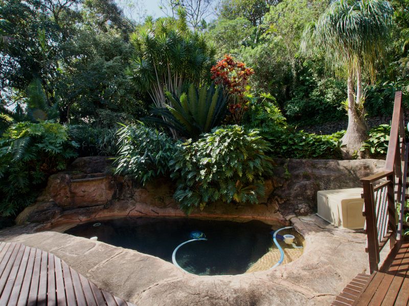 A naturalistic rock-feature pool set within a lush, landscaped garden, featuring timber decking and a wooden staircase for access.