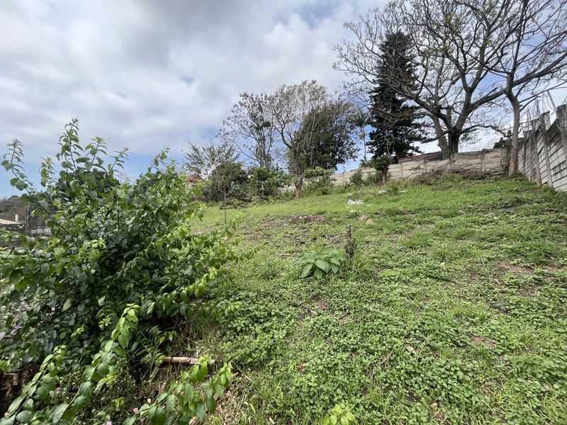 A sloped, undeveloped garden area featuring established trees and a concrete boundary wall, offering potential for landscaping and outdoor development.