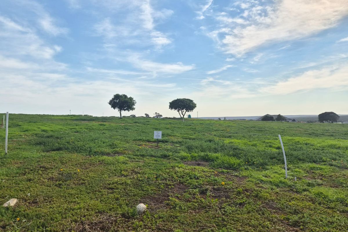 A vacant residential plot featuring open grassland and boundary markers, offering a clear space for future development.