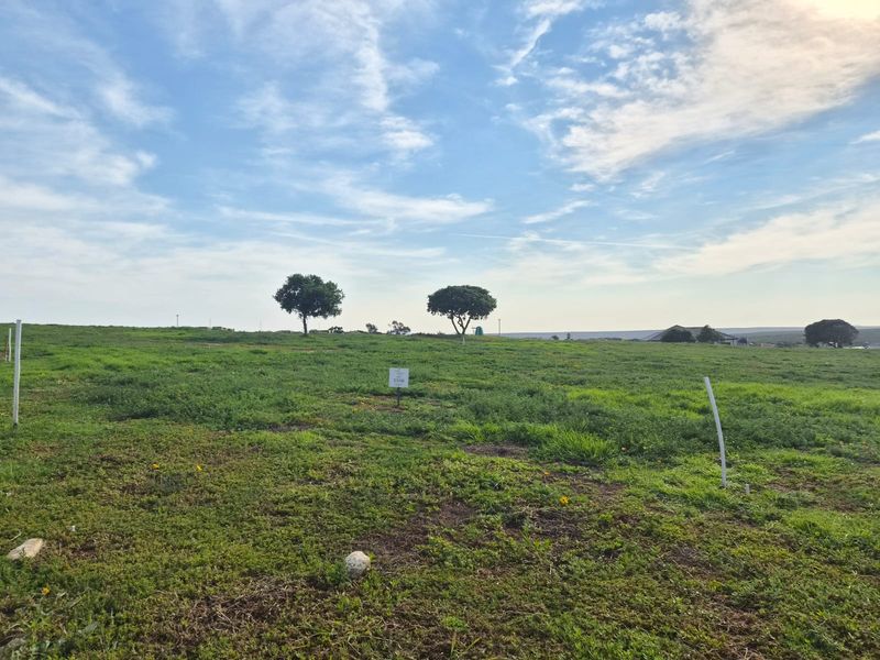 A vacant residential plot featuring open grassland and boundary markers, offering a clear space for future development.
