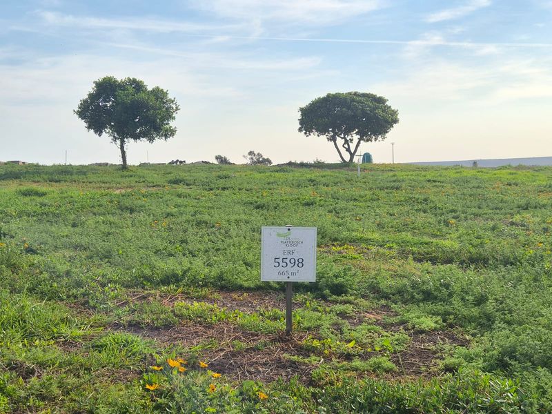 A vacant residential plot of 665 square meters, featuring established trees and natural vegetation, ready for development.