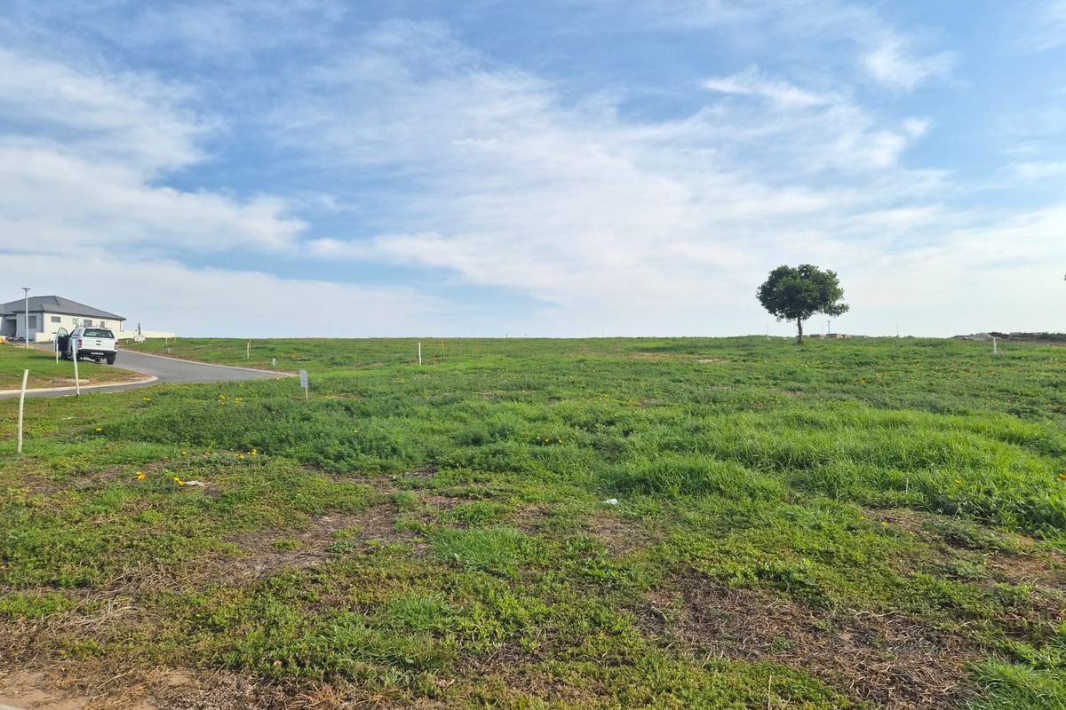 A vacant residential plot of land featuring open grassland and boundary markers, situated in a developed neighborhood setting.