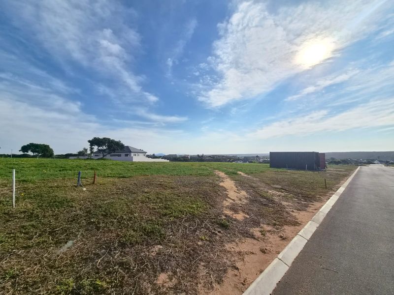 A vacant residential plot featuring a paved road frontage, concrete curbing, and utility connection points, ready for development.