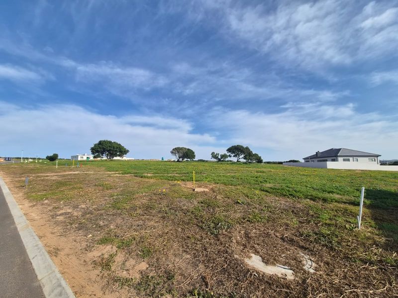A vacant residential plot featuring a level grassy landscape, paved curb access, and established boundary walls in a quiet neighborhood setting.
