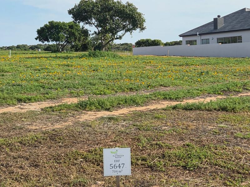 A vacant residential plot of 704 square meters, featuring natural vegetation and a boundary wall, situated in a residential estate.