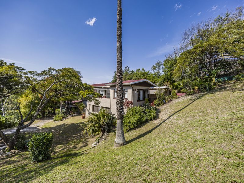 A view of the rear elevation of the house, featuring a metal roof, sliding windows, and a sloped garden area with mature trees.