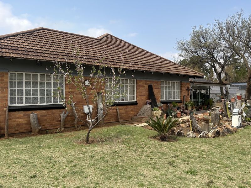 Rear view of a single-story brick house featuring a tiled roof, steel-framed windows, and a covered patio area overlooking a garden.