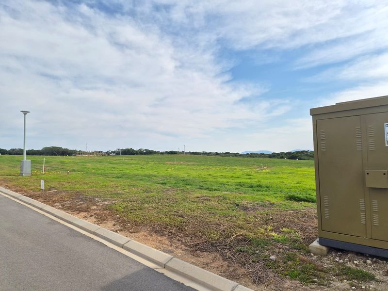 A view of a vacant residential plot featuring a grassy landscape, paved curb, and existing electrical utility infrastructure.