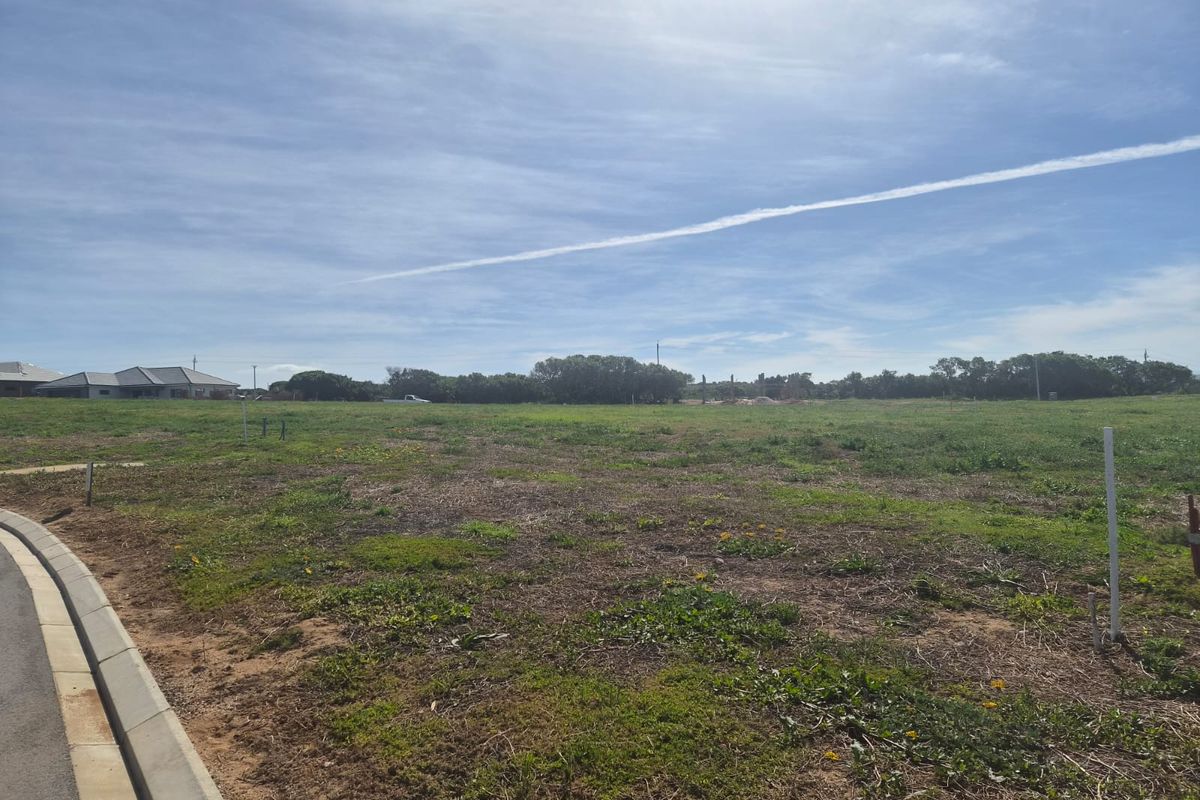 A vacant residential plot featuring natural grass cover, bordered by concrete curbing and an asphalt road.