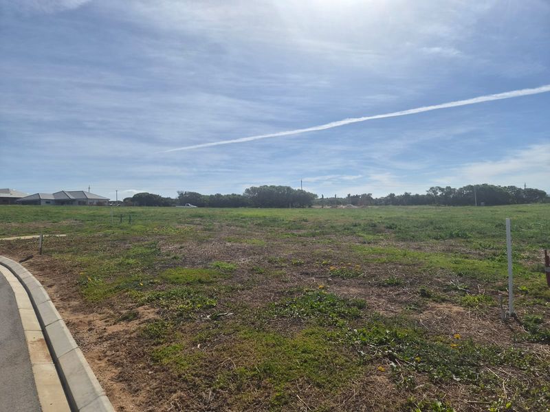 A vacant residential plot featuring natural grass cover, bordered by concrete curbing and an asphalt road.