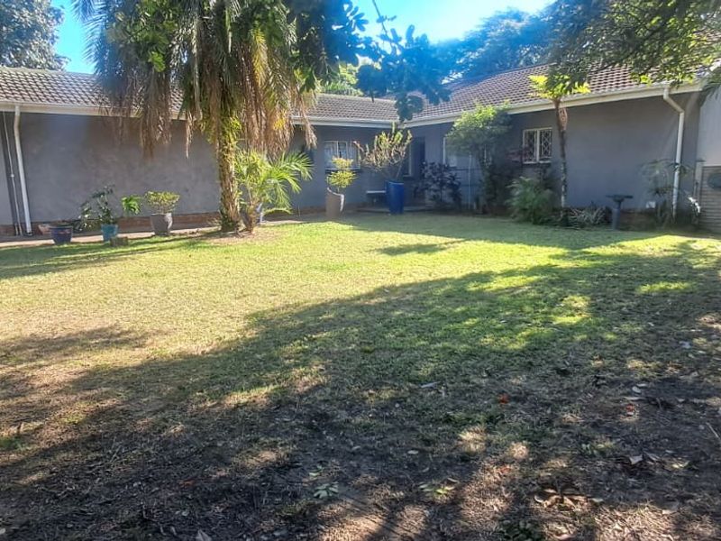 A view of the rear garden and the back elevation of the house, featuring a lawn and established trees.