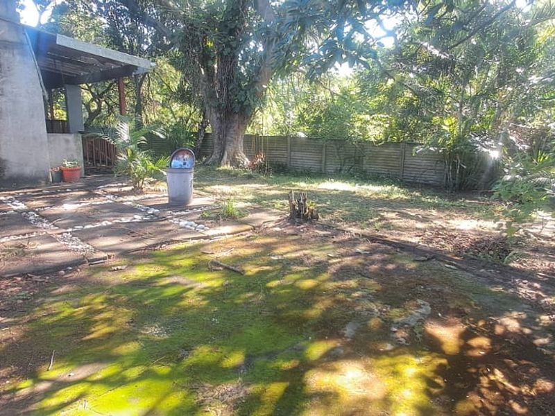 A rear garden area featuring a concrete patio, an outdoor fireplace, and mature trees, requiring landscaping and surface maintenance.