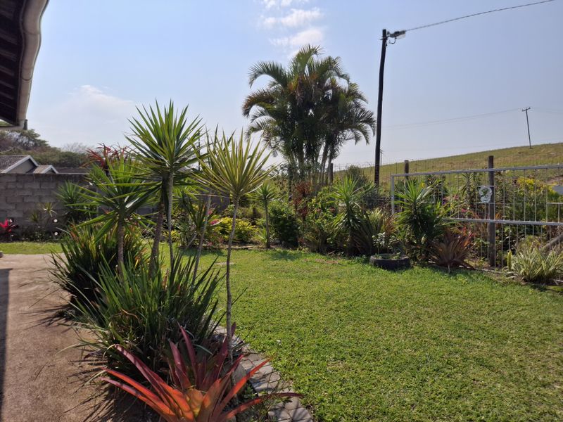 A well-maintained residential garden featuring a lawn, established tropical plants, concrete paving, and secure perimeter fencing.