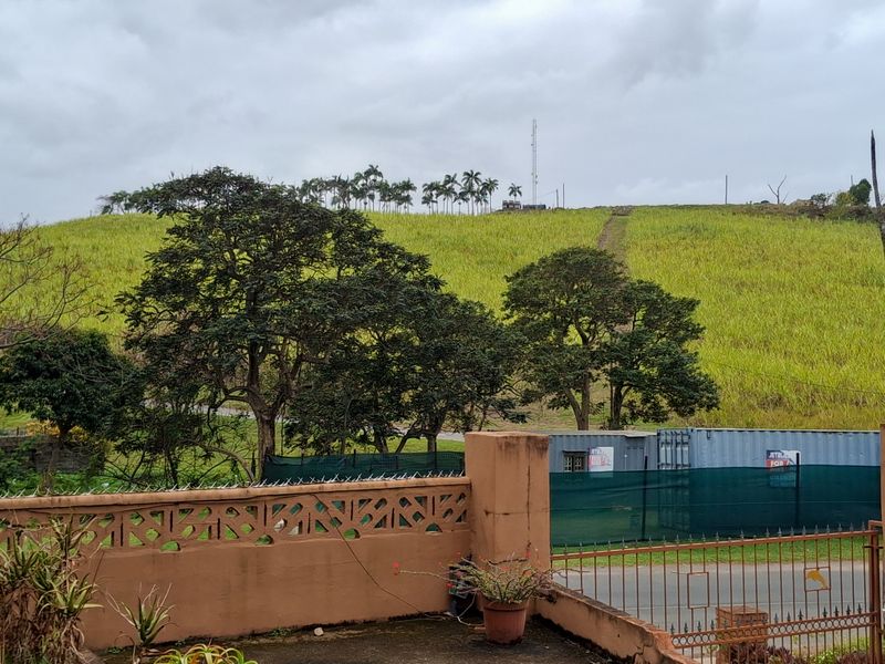 A view overlooking a grassy hillside with mature trees, featuring a concrete boundary wall and metal security fencing in the foreground.