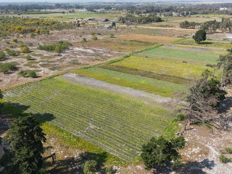 An aerial view of the small holding property, showcasing extensive cultivated agricultural land, established trees, and surrounding rural landscape.