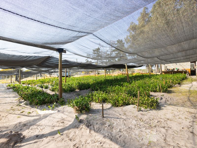 A commercial-style nursery garden area featuring extensive shade netting supported by timber posts, ideal for plant cultivation and agricultural use.