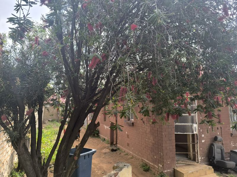 Rear exterior view of a brick house featuring mature landscaping and a simple entrance area with security bars.