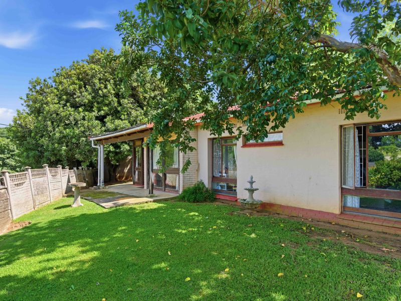 Rear view of the house featuring a lawn, a covered patio area, and established garden surroundings with a boundary wall.