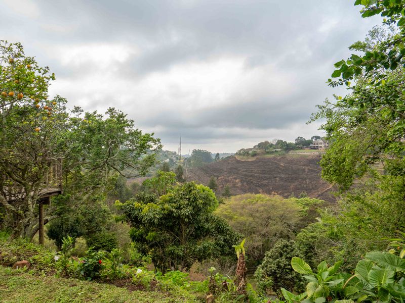 A scenic elevated view overlooking a lush valley with mature trees and a wooden deck structure visible on the left.