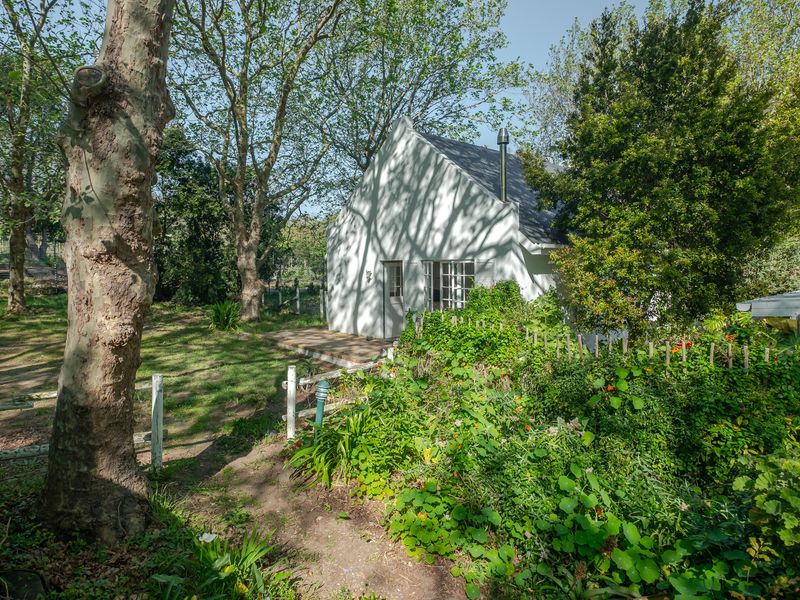 A view of the rear elevation of the house, featuring a paved patio area, established garden, and mature trees.